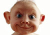 photo de bb