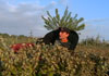 Nelsonator et la nature!!